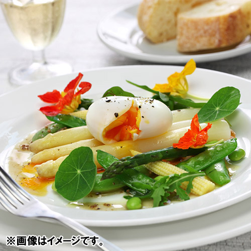 ＜北海道産＞ホワイト＆グリーンアスパラ 1kg【受注締め切り日：2026/5/15】