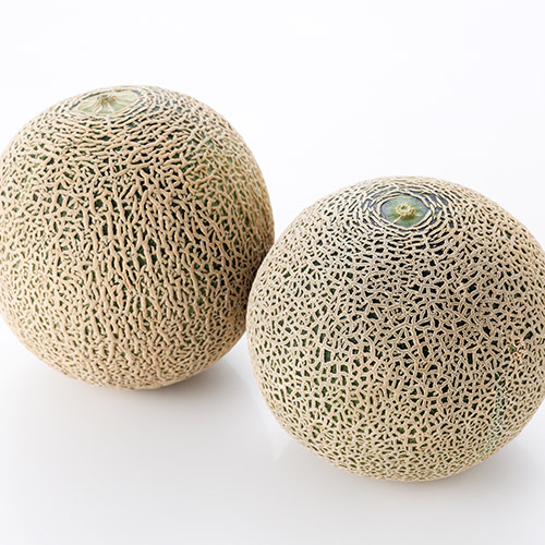 ＜茨城県産＞アンデスメロン・クインシーメロン各1玉【受注締め切り日：2026/5/20】