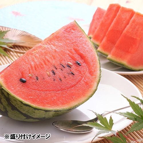 ＜茨城・群馬県産＞小玉西瓜1玉1.5kg【受注締め切り日：2026/5/31】