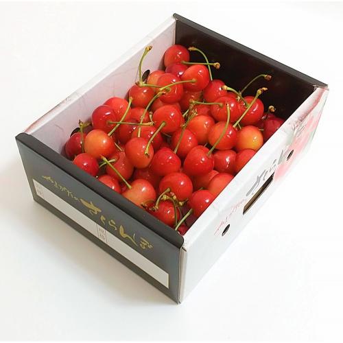 ＜山形県産＞佐藤錦 秀2L・L玉 バラ詰め500g【受注締め切り日：2026/6/20】