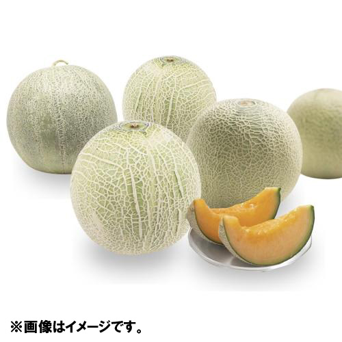 ＜山形県産＞訳ありメロン4.7kg（3～6玉）【受注締め切り日：2026/7/31】