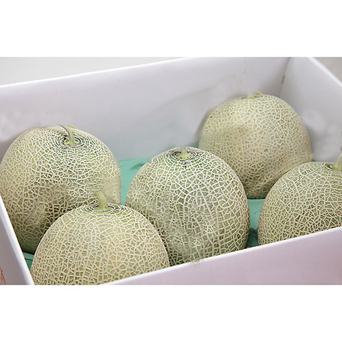 ＜山形県産＞訳ありメロン4.7kg（3～6玉）【受注締め切り日：2026/7/31】