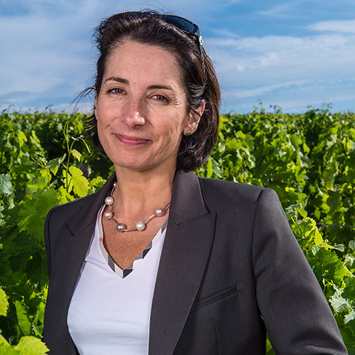 【送料当社負担】＜ドメーヌ バロン ド ロートシルト＞ソーテルヌ入り！気軽に楽しめる 赤白ハーフ4本セット