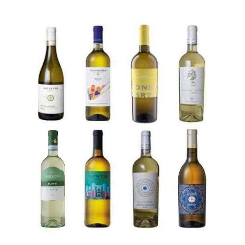 【送料当社負担】本間チョースケセレクト！ロエロ・アルネイス入り！イタリア土着品種白ワイン8本セット