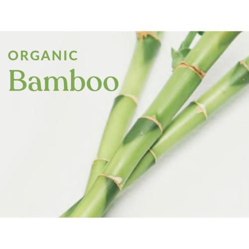 ＜PARAFINA＞CALA/ma