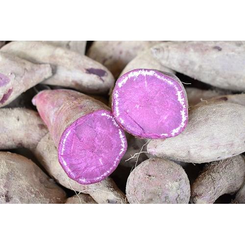 ＜落合酒造＞竃猫古酒