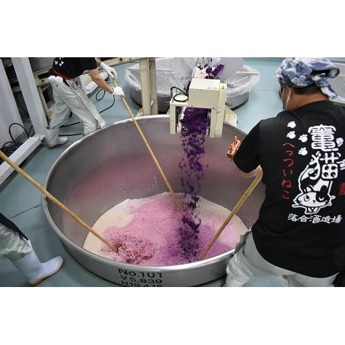 ＜落合酒造＞竃猫古酒