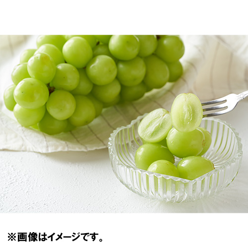 ＜長野県産＞シャインマスカット500g×2房（HOKUSAIGIFT）【受注締め切り日：2026/8/5】