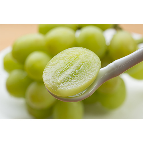 ＜長野県産＞シャインマスカット500g×2房（HOKUSAIGIFT）【受注締め切り日：2026/8/5】