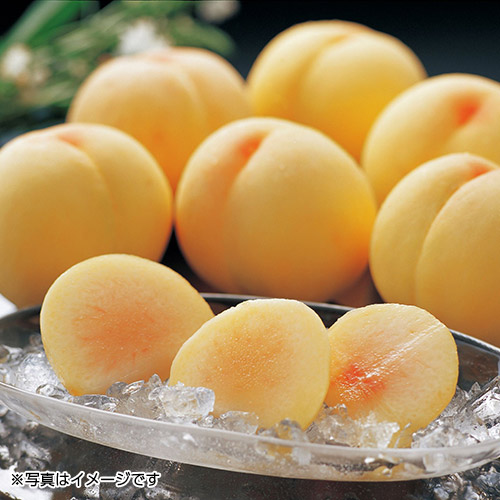 岡山倉敷玉島「井頭白桃」特秀特大6玉～7玉【受注締め切り日：2026/8/5】