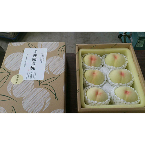 岡山倉敷玉島「井頭白桃」特秀特大6玉～7玉【受注締め切り日：2026/8/5】