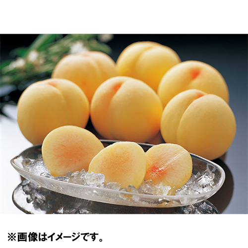 岡山倉敷玉島「井頭白桃」特秀特大10玉～12玉【受注締め切り日：2026/8/5】