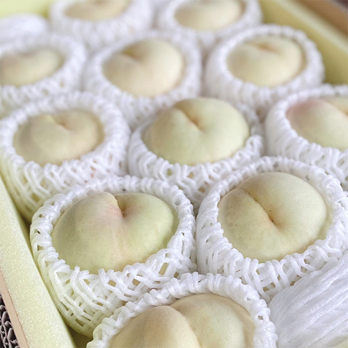 岡山倉敷玉島「井頭白桃」特秀特大10玉～12玉【受注締め切り日：2026/8/5】