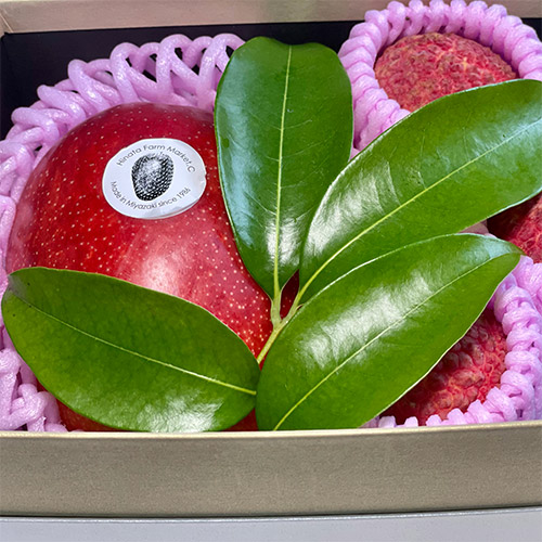 宮崎完熟マンゴー2L（約350g）1玉＋完熟ライチ6玉【受注締め切り日：2026/7/20】