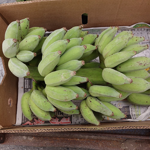 ＜沖縄県産＞銀バナナ1.5kg（約13～18本）【受注締め切り日：2026/8/20】