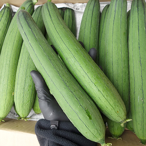 【沖縄県】島野菜セット