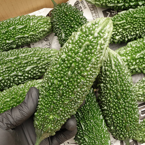 【沖縄県】島野菜セット