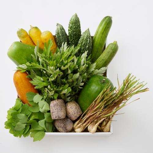 【沖縄県】島野菜セット