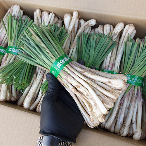 【沖縄県】島野菜セット