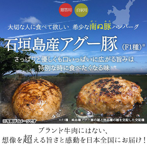 南ぬ豚 網脂ハンバーグ10個セット