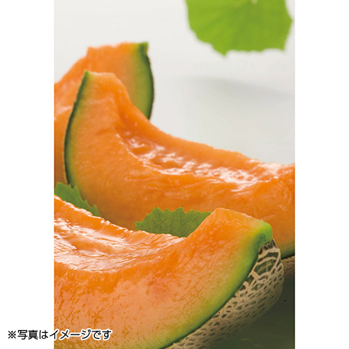 【ご自宅用】北海道産赤肉メロン2玉【受注締め切り日：2026/9/15】