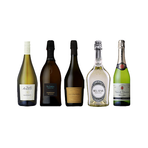 【送料当社負担】＜A-styleソムリエ厳選＞冷やして美味しいスパークリングワイン5本セット