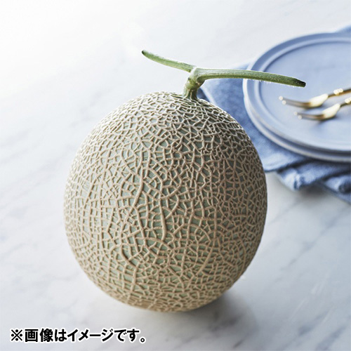 ＜静岡県産＞マスクメロン1玉1.2kg【受注締め切り日：2026/10/15】