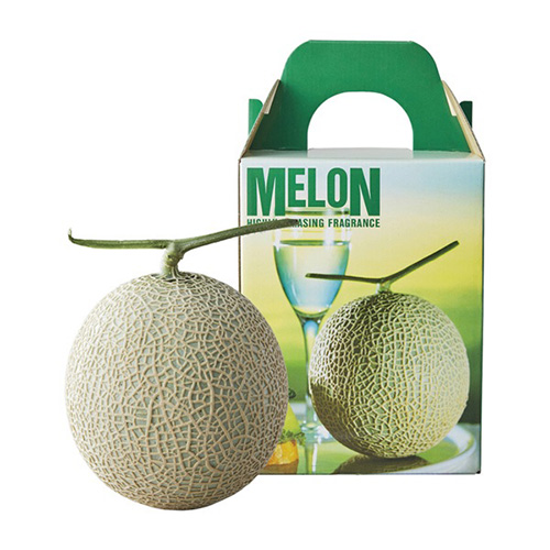 ＜静岡県産＞マスクメロン1玉1.2kg【受注締め切り日：2026/10/15】