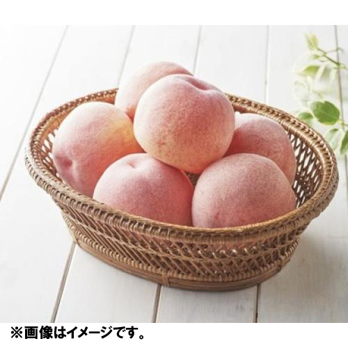 ＜山梨県産・福島県産＞水蜜桃5～6玉（計1.5kg）【受注締め切り日：2026/7/31】
