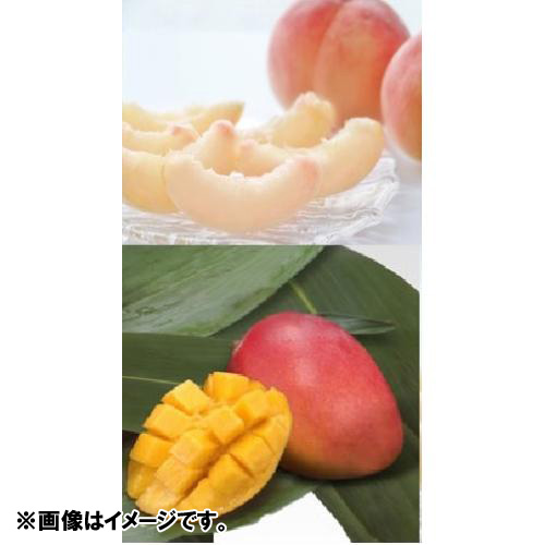＜宮崎・沖縄県産＞マンゴー＆＜山梨県・福島県産＞水蜜桃【受注締め切り日：2026/7/11】