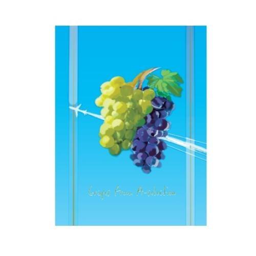 オリジナルパッケージ＜香川県産＞シャインマスカット650g【受注締め切り日：2026/8/25】