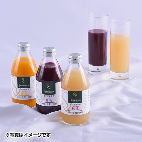 ＜日本橋 千疋屋総本店＞ストレートジュース10本入り