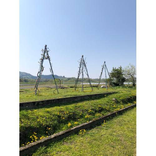 【鳥取県】＜兎ッ兎ワイナリー＞メルロ樽醗酵樽熟成【2020】(赤ワイン)※トースティングレベルLow