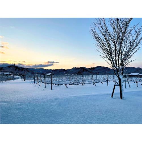 【鳥取県】＜兎ッ兎ワイナリー＞メルロ樽醗酵樽熟成【2020】(赤ワイン)※トースティングレベルLow