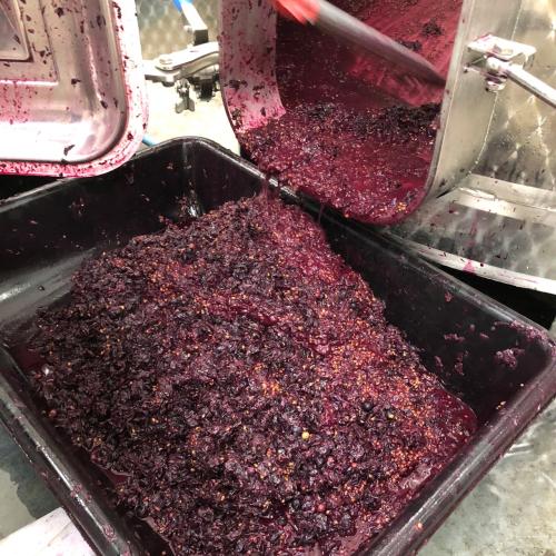 【鳥取県】＜兎ッ兎ワイナリー＞メルロ樽醗酵樽熟成【2020】(赤ワイン)※トースティングレベルLow