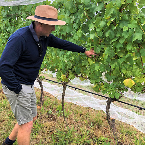 【送料当社負担】＜ショウ・アンド・スミス＞アデレードヒルズ産赤ワイン2本セット