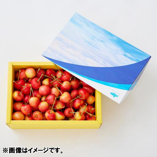 【ANAショッピング オリジナルパッケージ】＜ラテラルルーツ農園＞アメリカンチェリー（レイニア種）500g【受注締め切り日：2026/6/25】