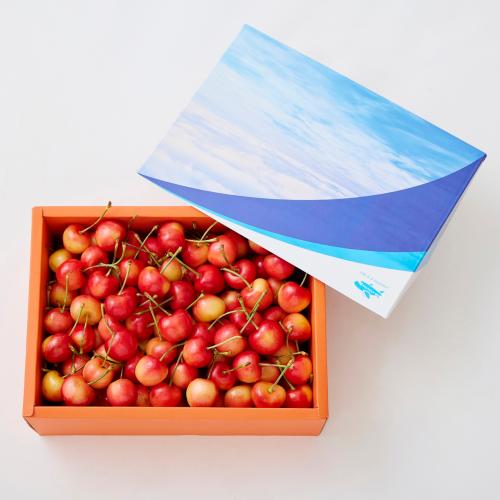 【ANAショッピング オリジナルパッケージ】＜ラテラルルーツ農園＞アメリカンチェリー（レイニア種）1kg【受注締め切り日：2026/6/25】