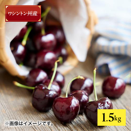 ＜ワシントン州産＞アメリカンチェリー（ダーク種）1.5kg【受注締め切り日：2026/7/2】