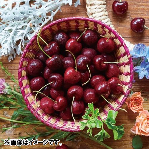 ＜ワシントン州産＞アメリカンチェリー（ダーク種）2kg【受注締め切り日：2026/7/2】