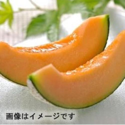 ＜北海道産＞新夕張レッドメロン1玉【受注締め切り日：2026/9/15】