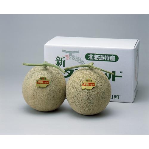 ＜北海道産＞新夕張レッドメロン2玉【受注締め切り日：2026/9/15】