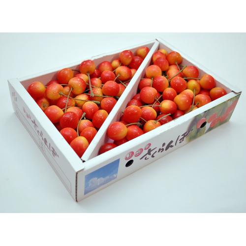 ＜山形県産＞佐藤錦 秀2L・L玉 バラ詰め1kg【受注締め切り日：2026/6/20】