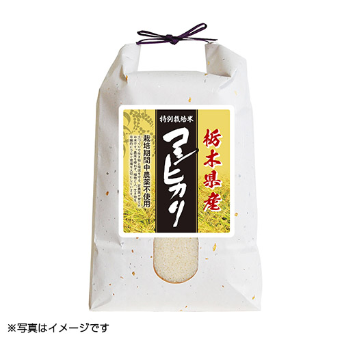 ＜栃木県産＞コシヒカリ4kg