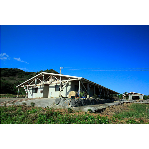 A-style限定＜石垣島まぁじゅん牧場＞ジャージーミルク100％チーズセット