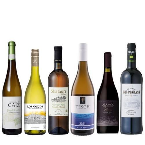 【送料当社負担】＜A-styleソムリエ厳選＞6色のワインを愉しむバラエティ6本セット