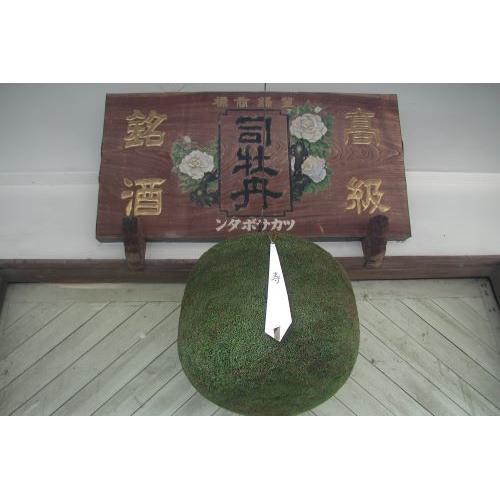 ＜司牡丹＞源十【高知県】