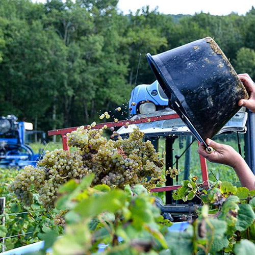 ＜ドメーヌ・アラン・ブリュモン＞シャトー・ブースカッセ メニール【2006】(赤ワイン)