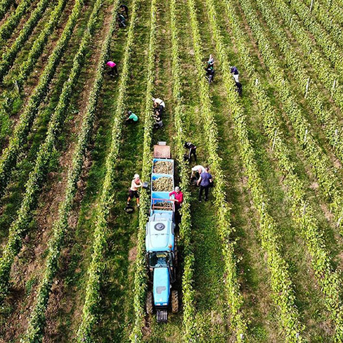 ＜ドメーヌ・アラン・ブリュモン＞シャトー・ブースカッセ メニール【2006】(赤ワイン)