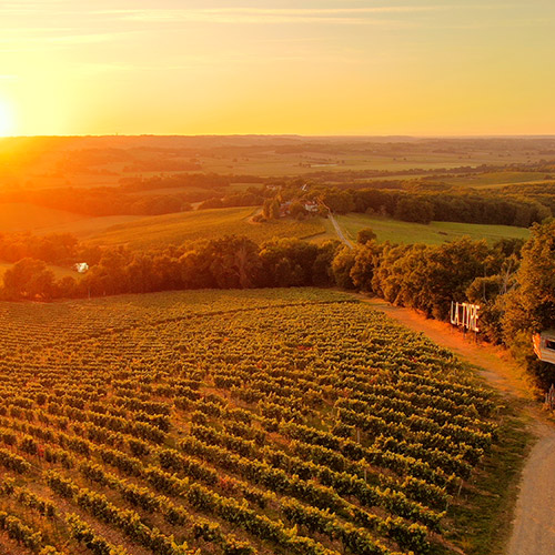 ＜ドメーヌ・アラン・ブリュモン＞シャトー・モンテュス キュヴェ プレステージ【2002】(赤ワイン)